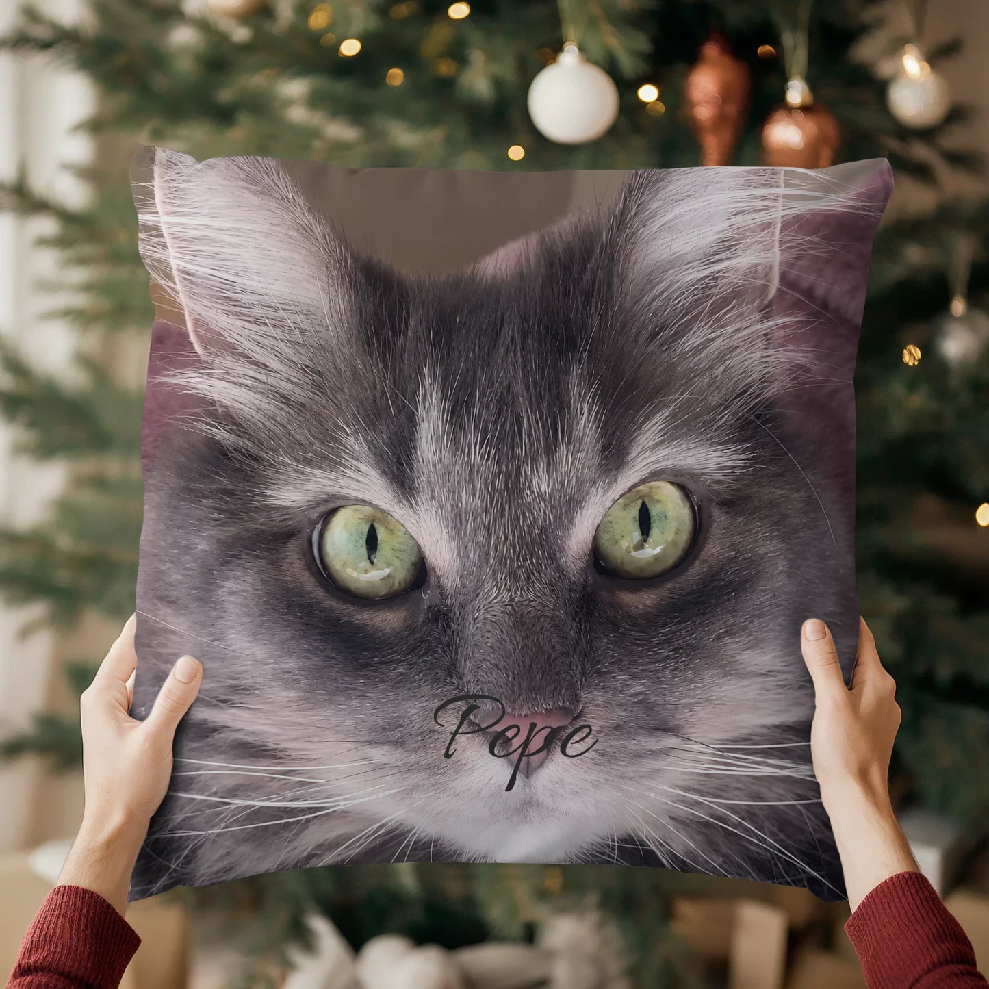 Product mockup image